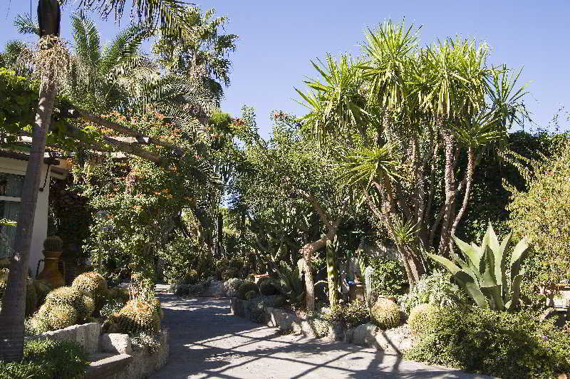 Park Hotel Terme Mediterraneo Forio di Ischia Dış mekan fotoğraf